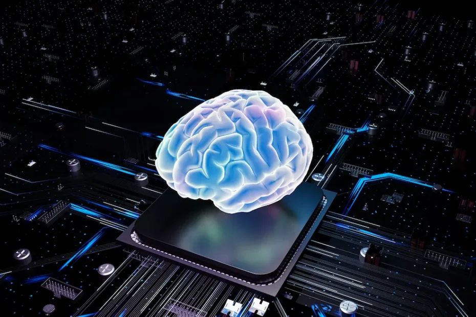 reprogrammer son cerveau pour transformer sa vie